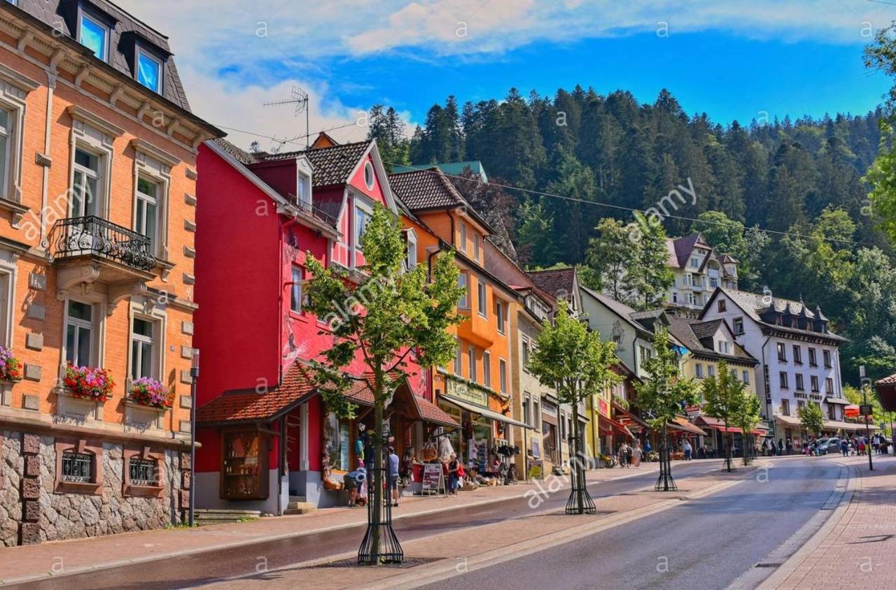 Dm Apartment Triberg im Schwarzwald Exteriör bild
